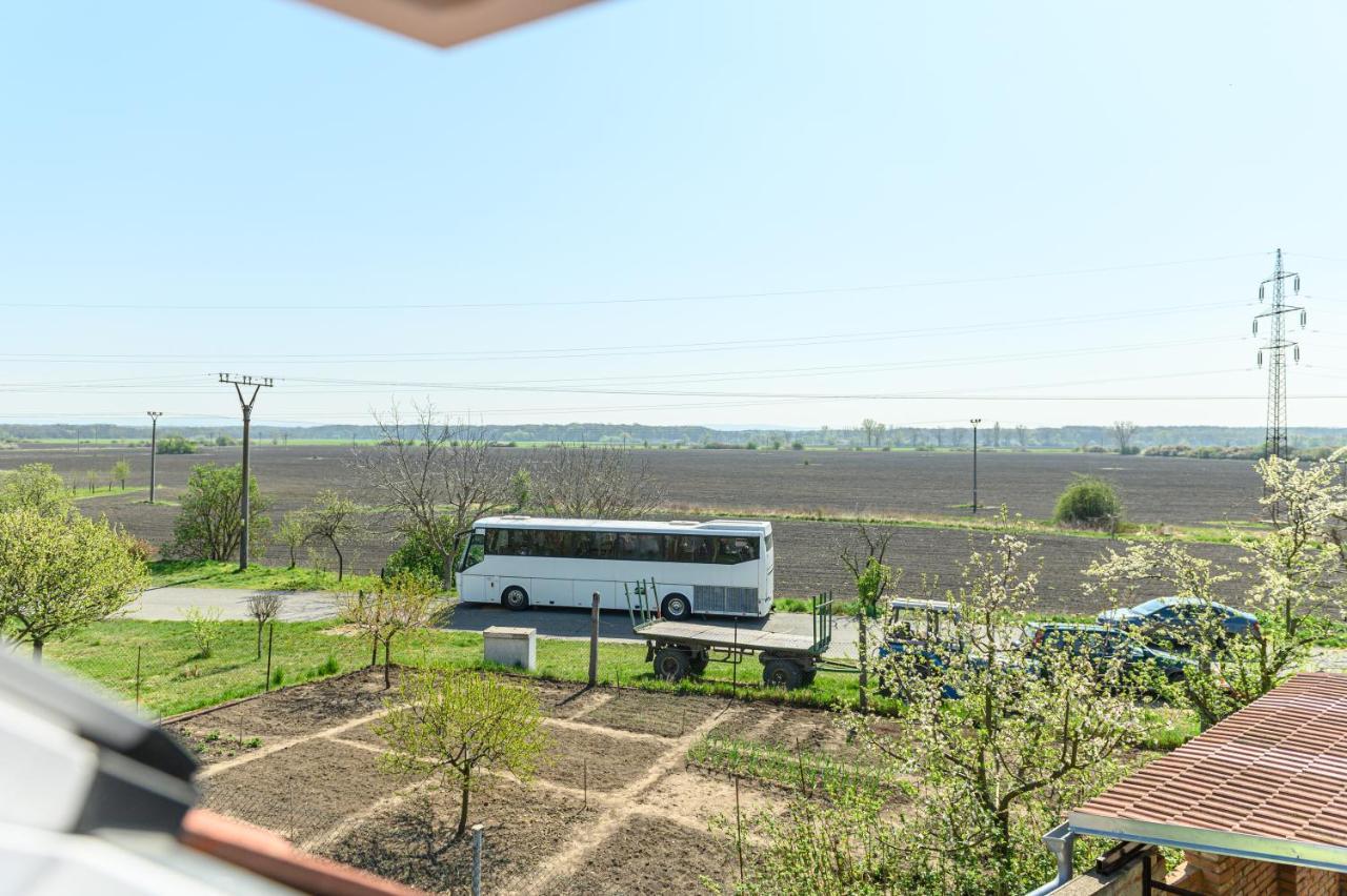 Ubytovani Na Vyminku Mikulčice Exterior foto